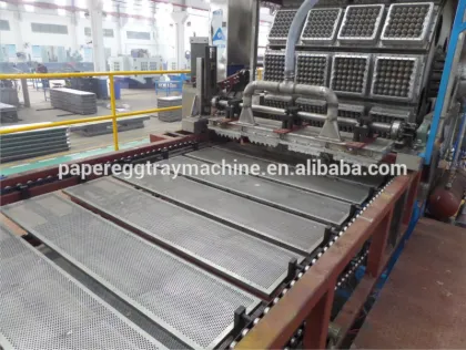 egg tray machine termo