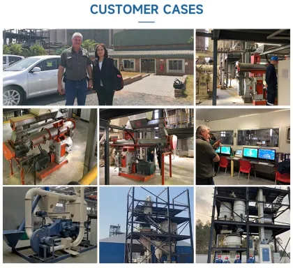 Biomass Pellet Mill Price: Wood Pellets Machine Line and Wood Pellet Making Machine