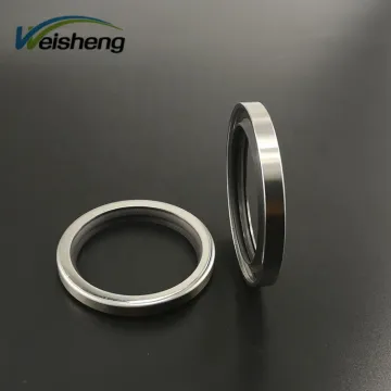 PTFE Rotary Shaft Seal for Air Compressor Oil Seals