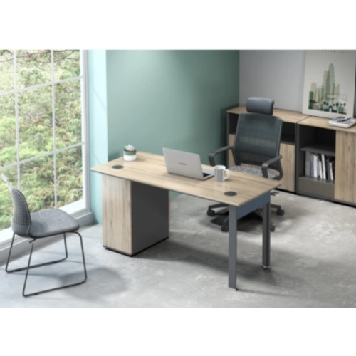 CEO Luxury Modern Commercial Executive Office Desk