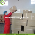 Approvisionnement en usine Fruit Premium High Standard Goji Baies