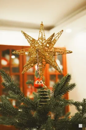 Optical Fiber Star Lights etc