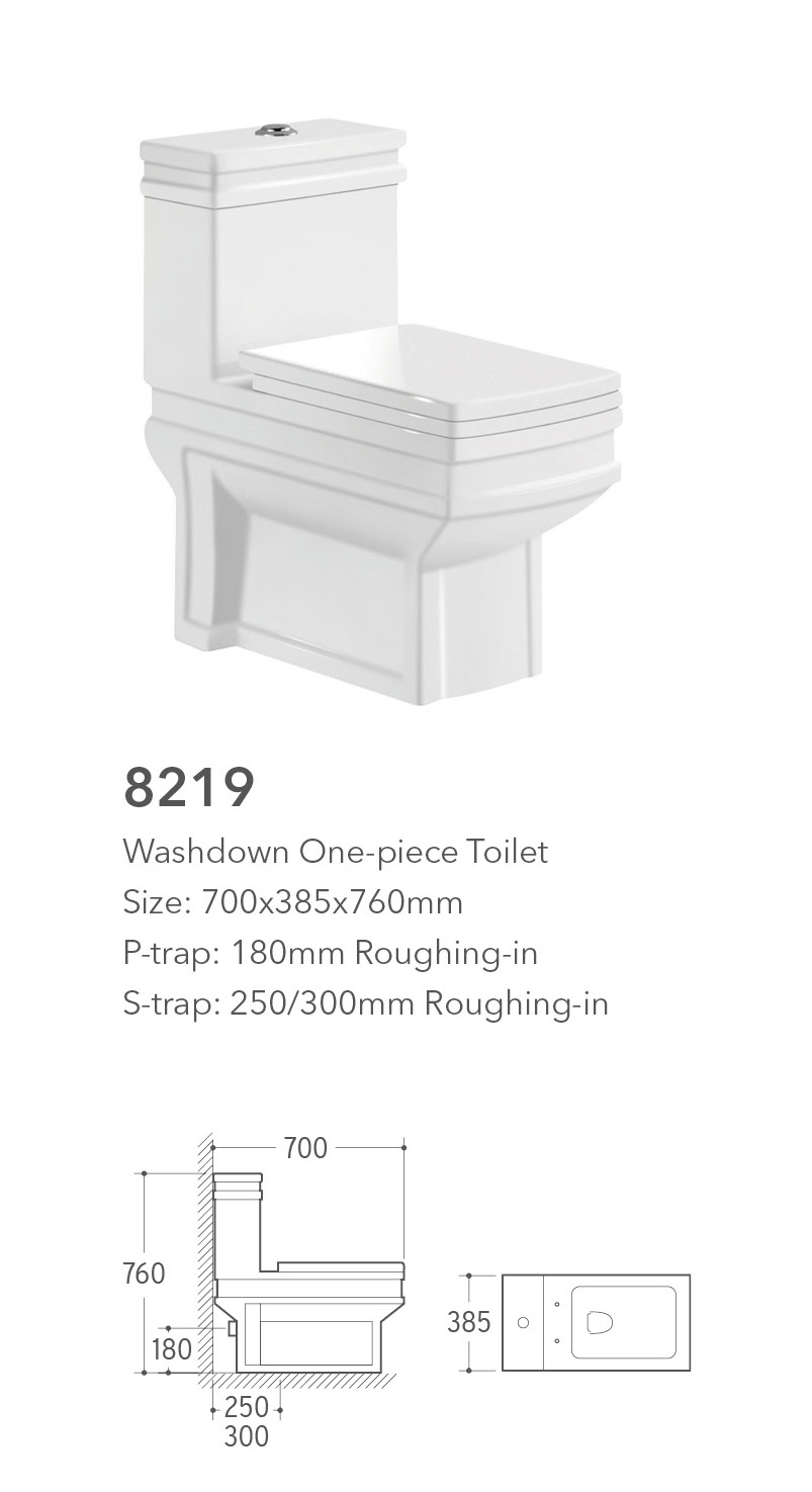 8219 One Piece Toilet