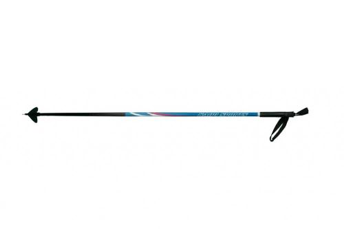 WD Series Ski Poles