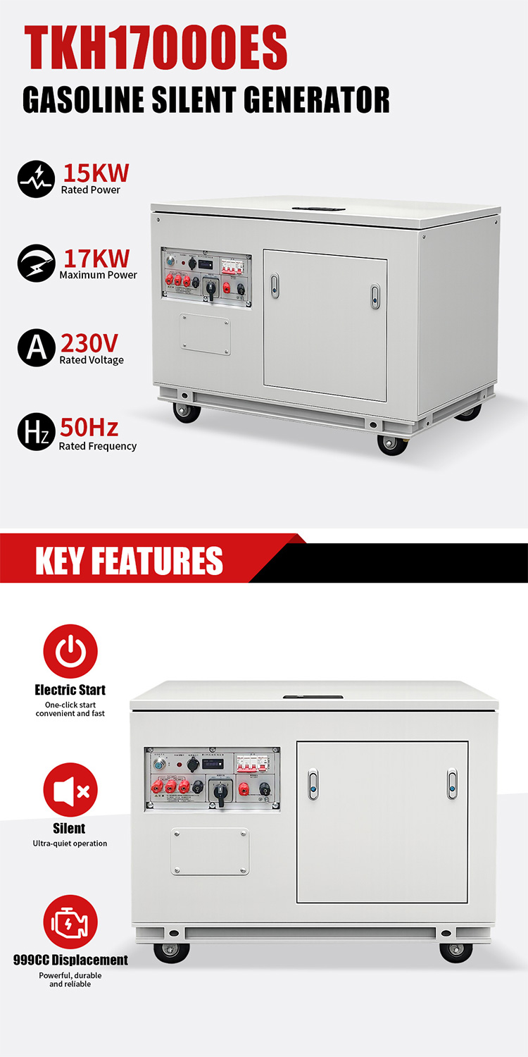 TKH17000ES Gasoline Generator(5)