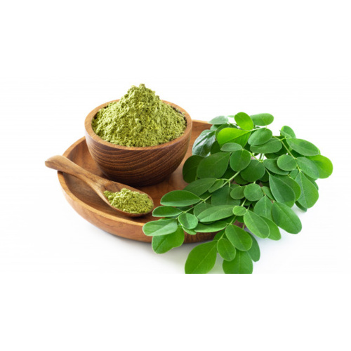 Organic Moringa Leaf Extract