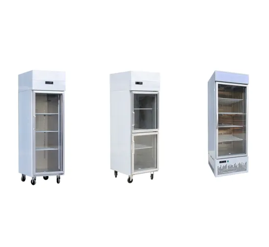 Single Glass Door Upright Commercial Display Refrigerator