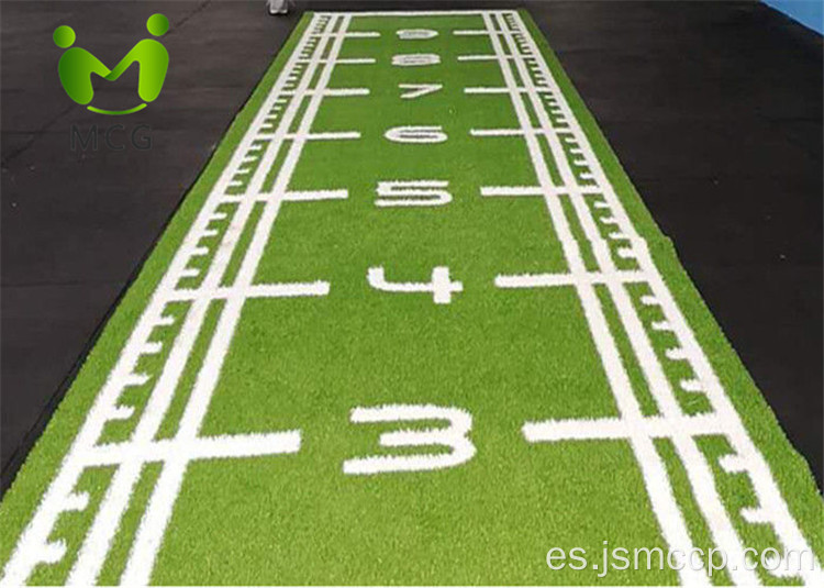 Entrenamiento duradero Sports Turt Stadium Gym Gery Artificial Grass