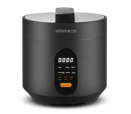 Rice Cooker Mini Size