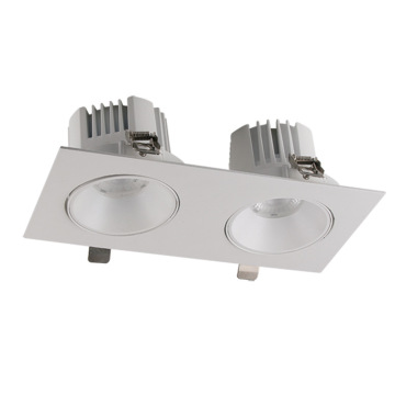 Double Head Rectangular 20W COB Downlight LED Grille Light