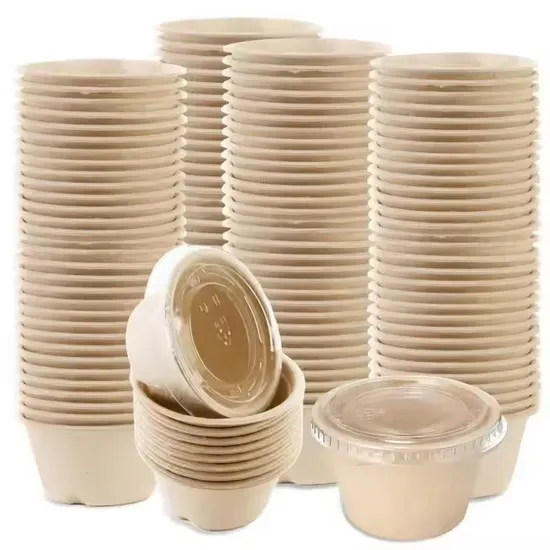 Coffee Cup from Renewable Plant Fibers
