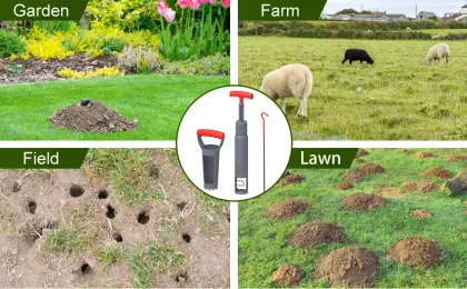 Effektive Schonende Schadlingsbekampfung Fur Ihren Garten in der Schweiz