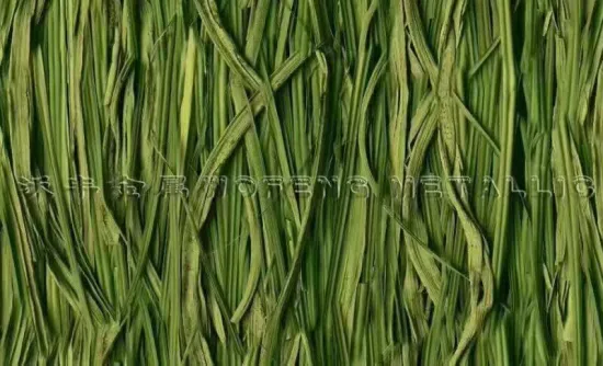 Customized ppgi in coils