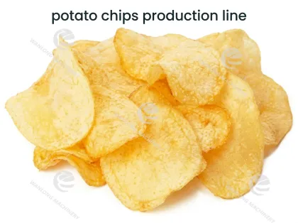 Continuous Industrial Frying Machine