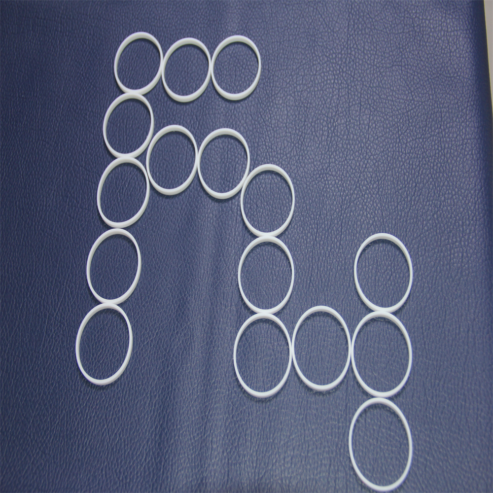 Ptfe Gasket