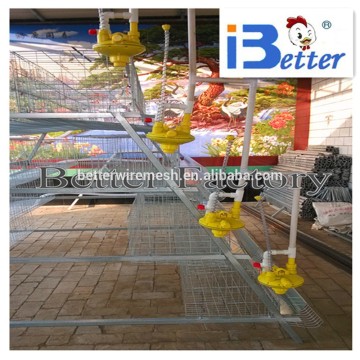 BETTER FACTORY battery layer/broiler chicken cages