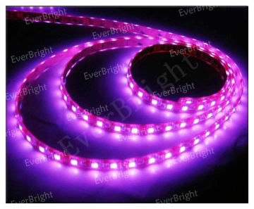 Good price 5M 5050 Led Strip 300 leds Waterproof IP67 Strip Lighting DC 12V Decoration Lights,led strip light smd 5050
