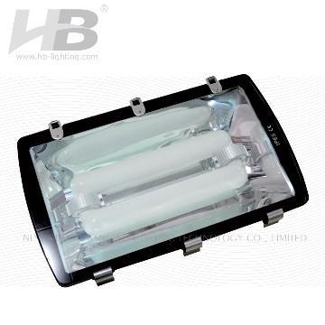 80-300W 100-300V HB Tunnel Induction Light
