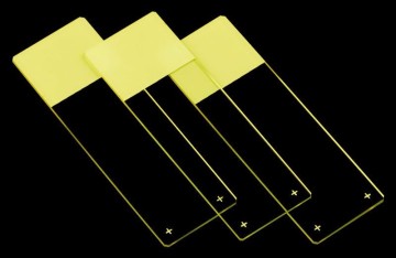 Mikroskop Slide, Adhesion Positive Charged
