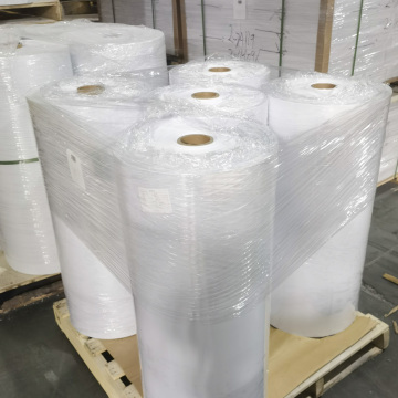 Rigid White Matte PVC Roll For Printing