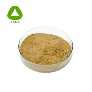 24% Flavone 6% Lactone Ginkgo Biloba Extract Powder