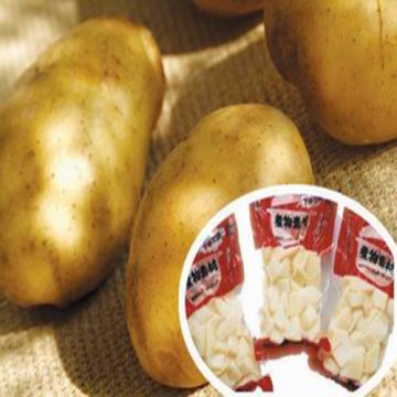 Fresh Potato with High Quality