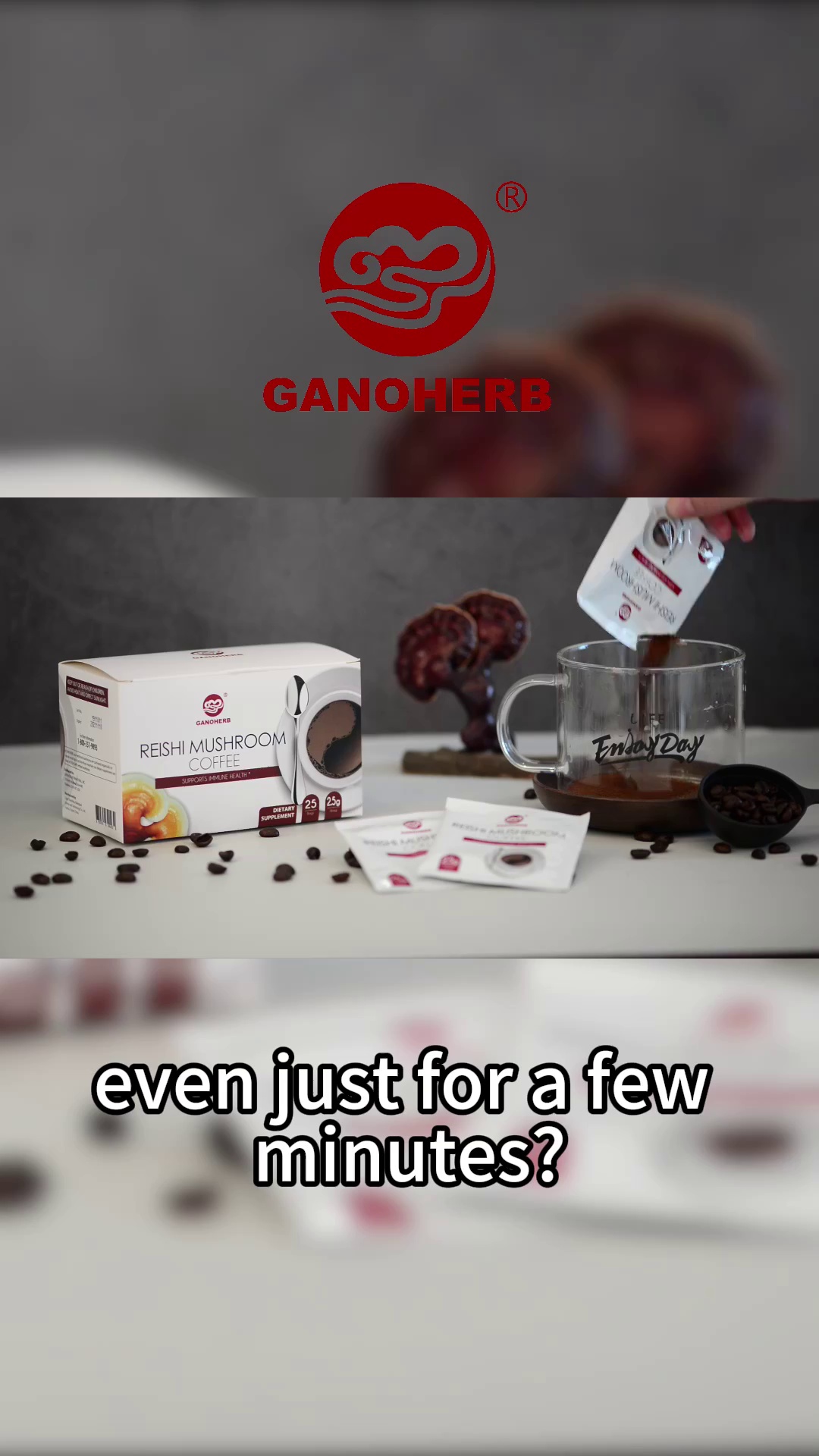 OEM Reishi Mushroom Ganoderma Black Instant Coffee 2 in 1