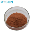 Cinnamon Bark Extract Powder 30%