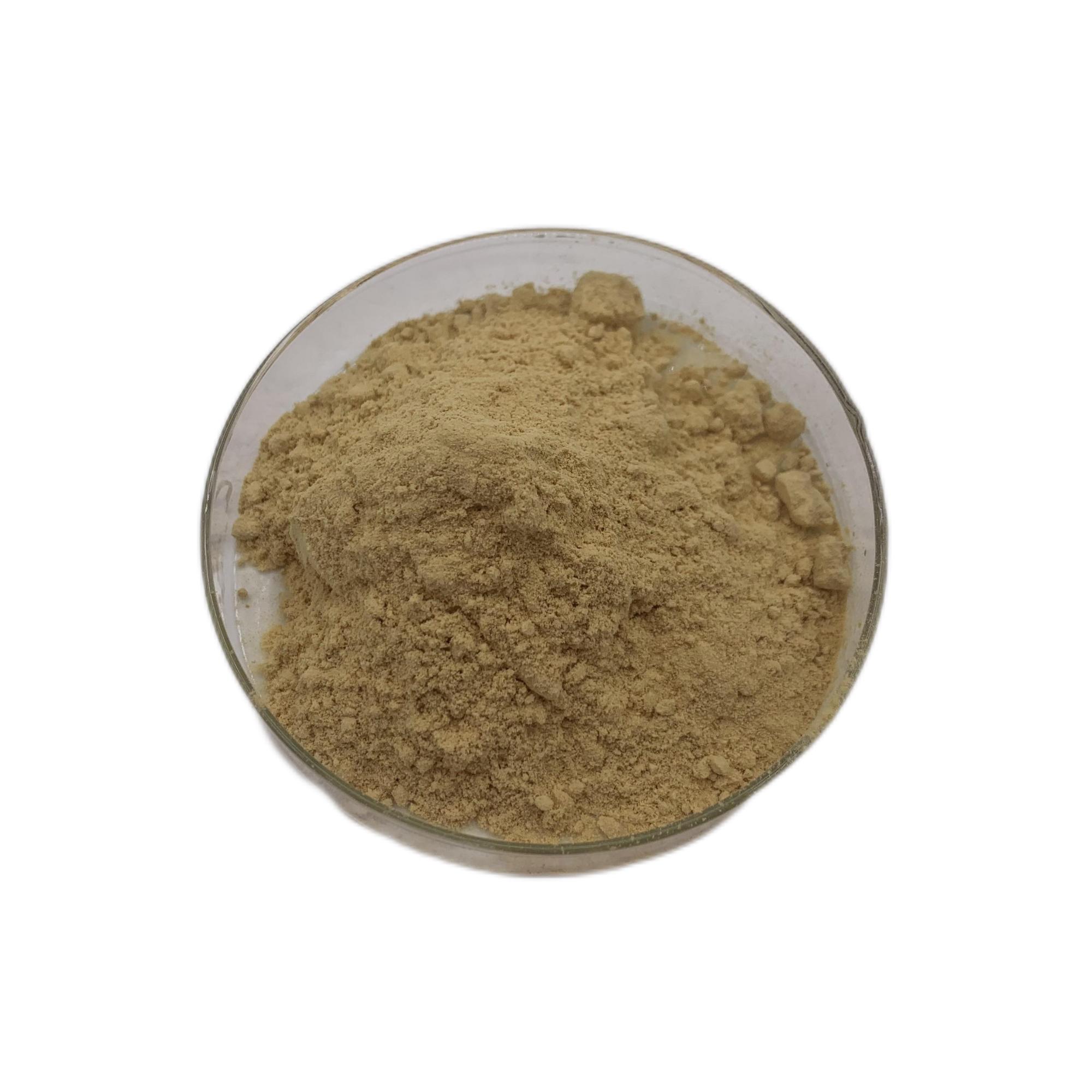 Okra seed extract powder Water soluble Okra extract