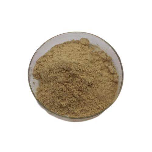 Okra seed extract powder Water soluble Okra extract
