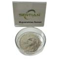 Microbial Rennet for cheese Kluyveromyces lactis rennet