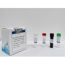 RT-PCR test kit for Delta variant