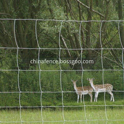 Class 3 deer fence