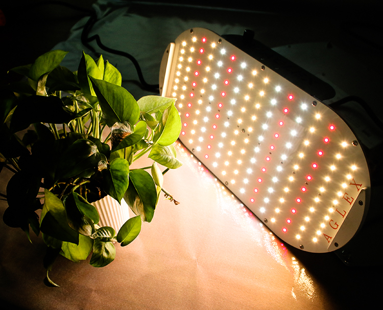 LED impermeable Cultive la luz para la flor Veg