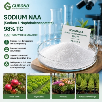 Sodium NAA 98% TC Rozpuszczalna w wodzie auksyna do ukorzeniania i preparatów PGR