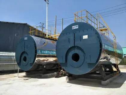 2.5t natural gas steam boiler for paper industry