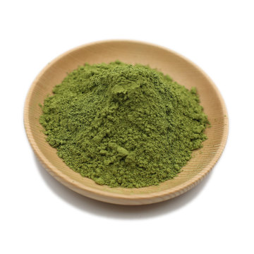 Matcha Pulver Bio-Zertifiziert