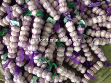 Fresh white garlic