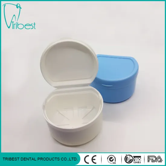 Plastic Colorful Portable Denture Box With Net