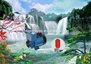 China Factory Gp Series Cast Iron Peripheral Water Pump Gp125,125W Self Suck Water Pump