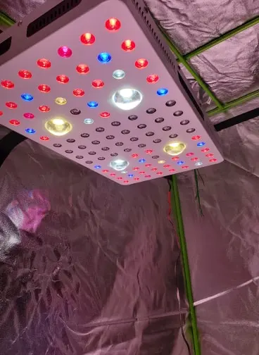 Phlizon 2000W COB LED Grow Light