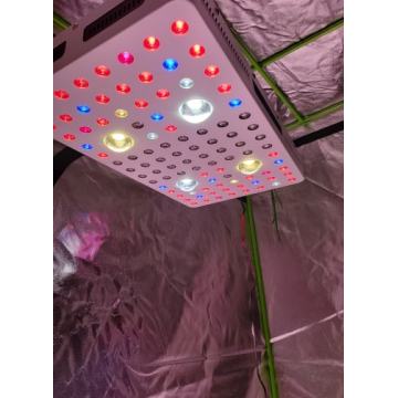 COB 2000W LED는 가벼운 수경성을 재배합니다