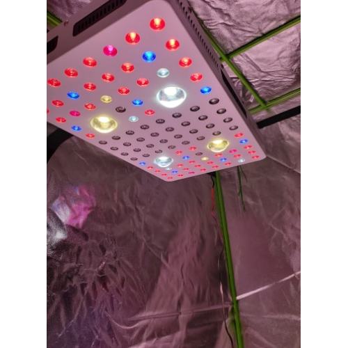 COB 2000W LED Grow Light Hydroponic