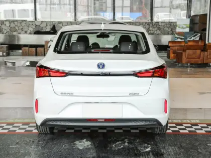 Changan Yidong New Energy Passenger Vehicle