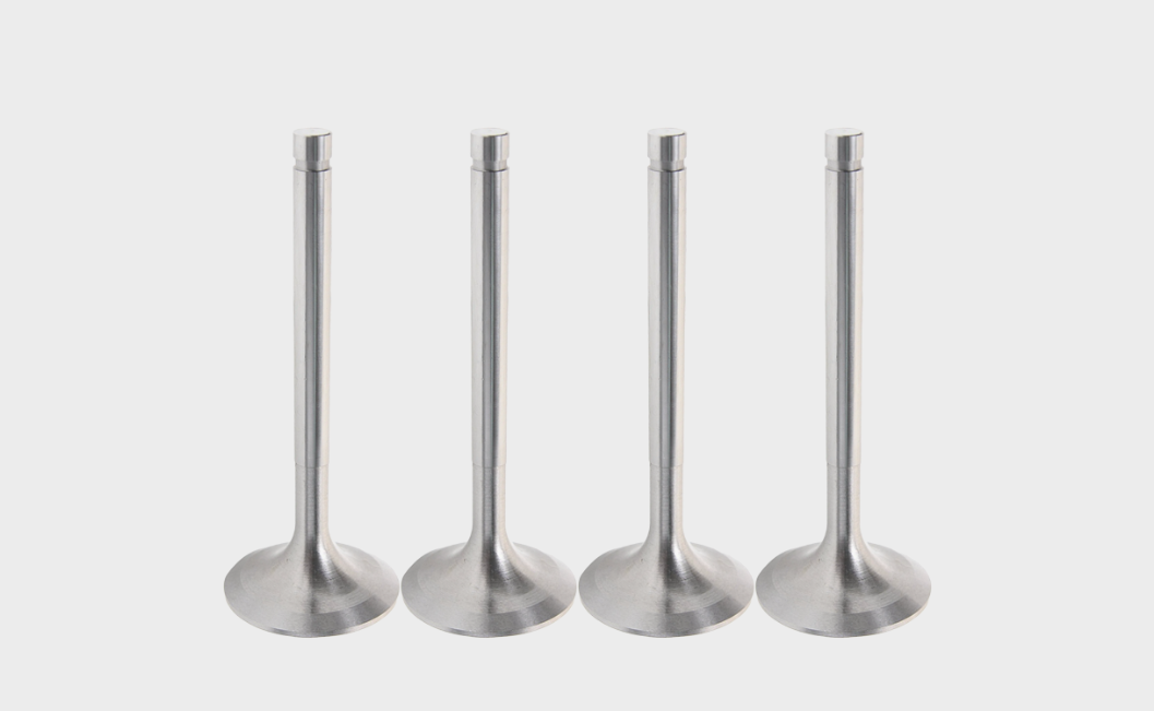 642667 Intake Valve for Engine