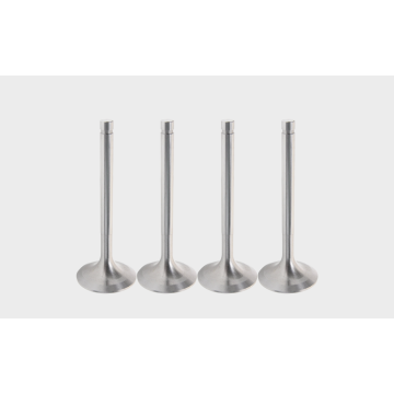 642667 Intake Valve for Engine