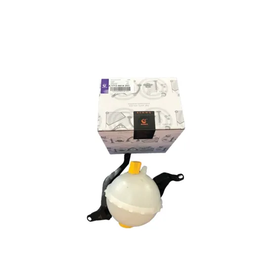 Auto Parts New Expansion Tank for BMW F18