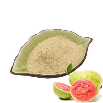 Wholesale guava powder CNCSBIO