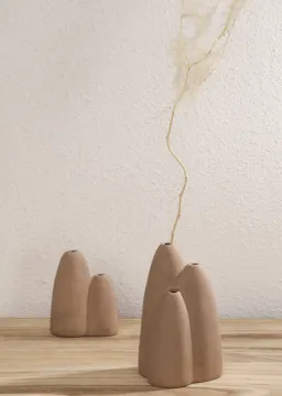 Flowers House Plants - Perfect Shelf vases