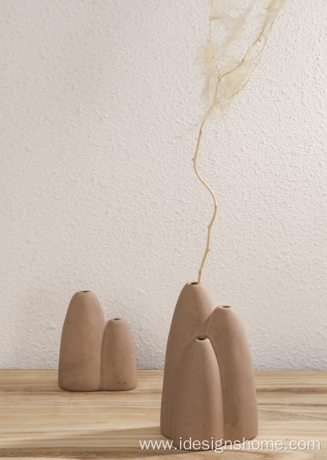 Flowers House Plants - Perfect Shelf vases